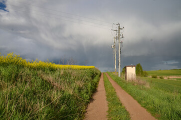 a meadow in Masuria and above it a cloudy sky 
