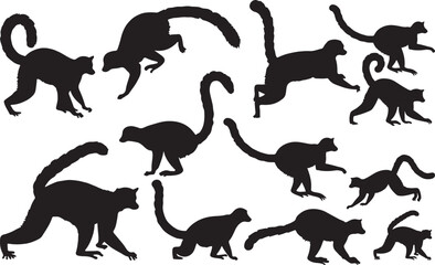 Sportive Lemur Solid Vector Silhouette