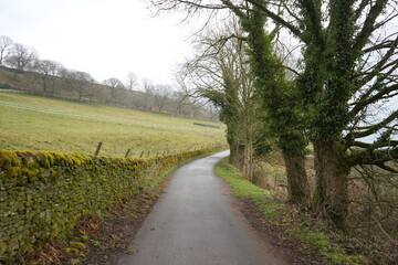 Eyam, The Peak District, England – January 21 2025: Serene country lane with mossy stone wall and bare winter trees.