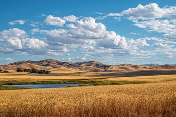 Golden wheat field, tranquil pond, rolling hills, bright blue sky, fluffy white clouds