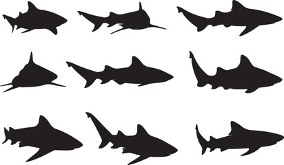 Zebra Shark Solid Vector Silhouette