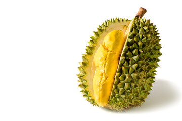 Ripe durian fruit or Durio zibethinus with yellow creamy pulp exposed, isolated on white background. Known as the king of fruits in Southeast Asia. Popular in Thailand, Malaysia, and Indonesia.