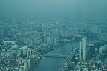 鋼鉄の森 - 光を失った.孤独な巨人たち