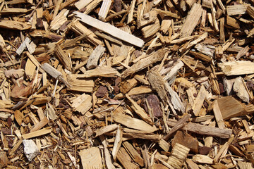 Copeaux de bois pour paillage