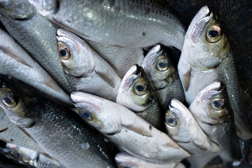 Full Image of Fresh Fish for sale at market