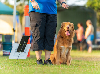 Dog obedience competition at the Royal Darwin Show 2025. Northern Territory, Australia.