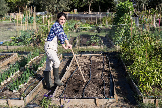Woman working on farm, preparing vegetable patch with hoe