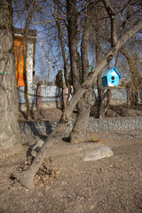A small blue birdhouse hanging on a leaning tree branch in a park.
