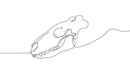 Continuous line drawing of dinosaur skull on transparent background.  