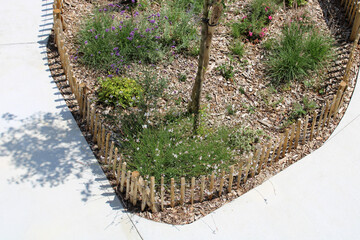 Clôture bois ganivelle noisetier, châtaigner, à planter, à dérouler, bordure pour plantation...
