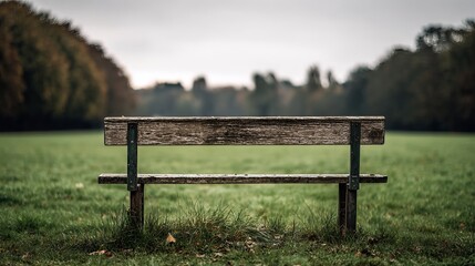 Fototapeta premium A solitary wooden bench in a tranquil park setting surrounded by lush greenery and soft, muted colors.