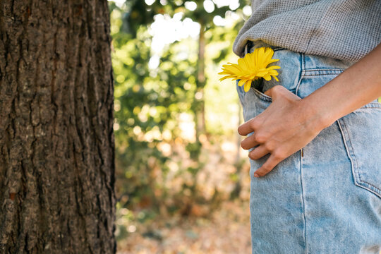 Woman with yellow flower in jeans pocket standing by tree