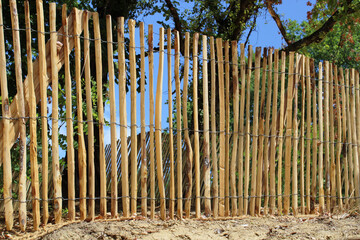Clôture bois ganivelle noisetier, châtaigner, à planter, à dérouler, bordure pour plantation...