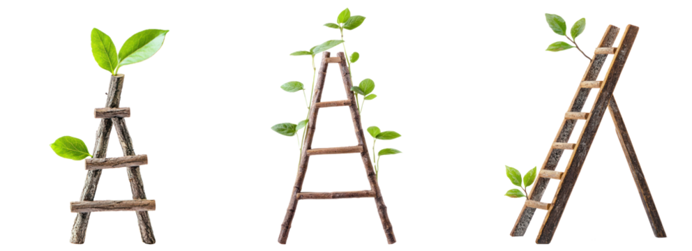 Ladder symbolizing growth isolated on transparent background