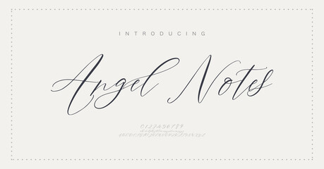 Signature Font Uppercase Lowercase And Number. Script Font Calligraphy Logotype  elegant Font Type Font lettering handwritten. vector illustration  
