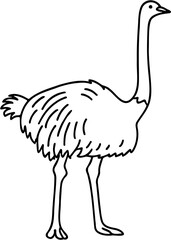ostrich vector illustration, isolated on white