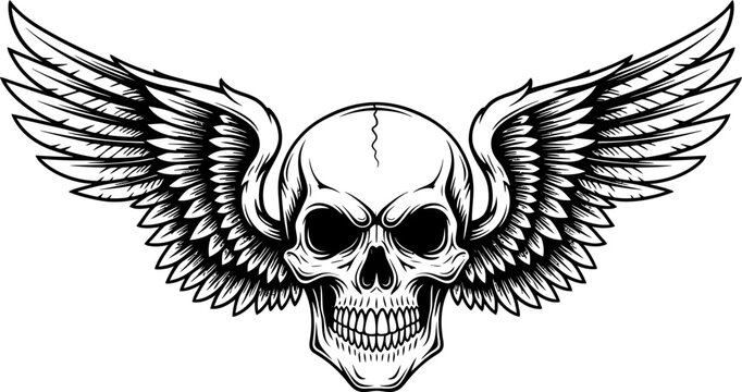 Detailed Skull with Feathered Wings Black and White Graphic Illustration.