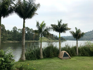Small bell tents nestled under palm trees along the tranquil shores of Lake Bunyonyi at Bunyonyi...