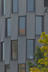 There is a building featuring numerous windows, and in front of it, you can see a tree standing...