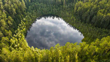 Small lake in the middle of the forest