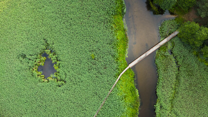 Zeimena river near Svencioneliai in Lithuania
