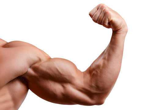 Muscular male bodybuilder flexing biceps arm cutout on transparent background