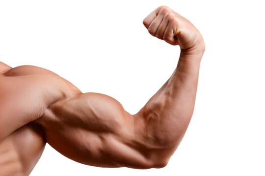 Muscular male bodybuilder flexing biceps arm cutout on transparent background - Powered by Adobe