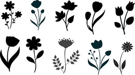 Vector black silhouettes of flowers isolated on a white background.