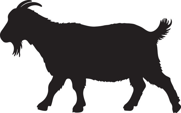 Nigerian Dwarf Goat Vector Silhouette