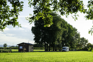 Fototapete bei efototapeten.de bestellen   