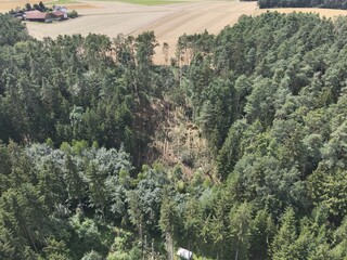 Forest after tornado in Regenstauf, Bavaria, Germany, July 27, 2024. Trees are uprooted and broken.