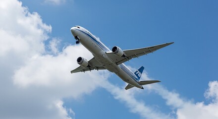Obraz premium 青空を力強く上昇する大型旅客機の姿