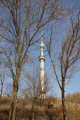 Obraz premium The Almaty TV tower rises behind bare trees under a clear blue sky in Kazakhstan. 