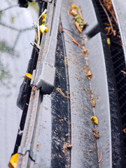 Close view of debris accumulation on a car's windshield wiper assembly in an urban setting during autumn