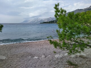 Peaceful Pebble Beach with Pine Trees and Mountain View by the Sea