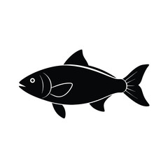 fish isolated on white background