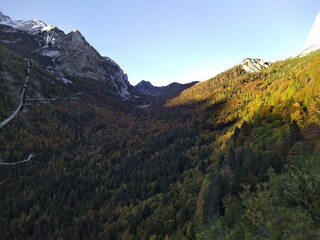 A breathtaking view of a lush forested valley bathed in warm evening light, framed by the rugged peaks of the Julian Alps