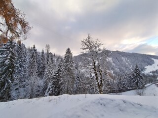 A breathtaking view of a serene winter landscape featuring snow-covered evergreen trees and a distant mountain slope under a pastel-hued sky. 