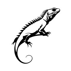 Obraz premium silhouette of a iguana 