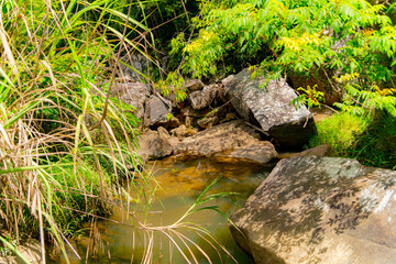 Mountain river.

Mountain lakes and rivers of the Baho Falls near Nha Trang in Vietnam. During the rainy season, this place turns into a deep river with large waterfalls. 
