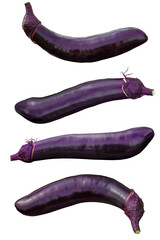 Eggplant composition on transparent background.