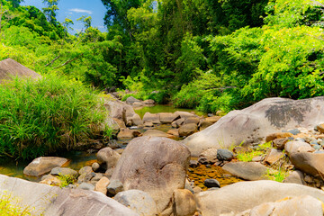 Mountain river.

Mountain lakes and rivers of the Baho Falls near Nha Trang in Vietnam. During the rainy season, this place turns into a deep river with large waterfalls. 