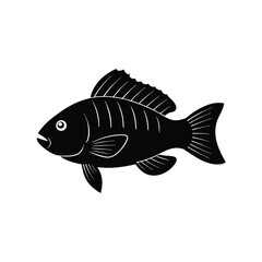 fish isolated on white