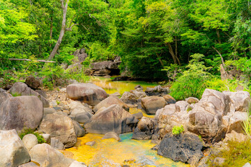 Mountain river.

Mountain lakes and rivers of the Baho Falls near Nha Trang in Vietnam. During the rainy season, this place turns into a deep river with large waterfalls. 