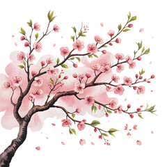 Fototapeta premium Beautiful pink cherry blossom tree branch isolated on transparent background