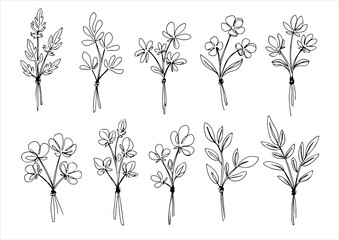 botanical one line art, continuous, vector illustration, isolated on white background