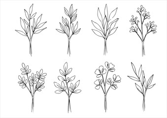 botanical one line art, continuous, vector illustration, isolated on white background