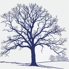 White snow-covered winter tree silhouette against a cold sky, isolated with bare branches
