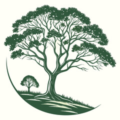 Vector illustration of a tree in nature, depicting its branches, leaves, and seasonal changes from spring to autumn, suitable for landscape design