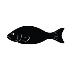 fish vector illustration